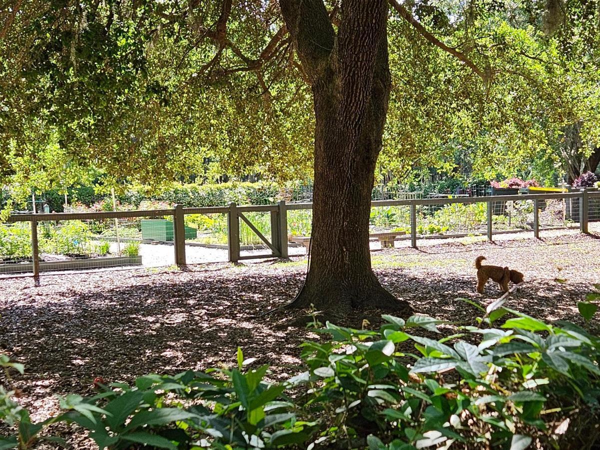 Low Country Cottage In Beautiful Habersham Beaufort Dış mekan fotoğraf
