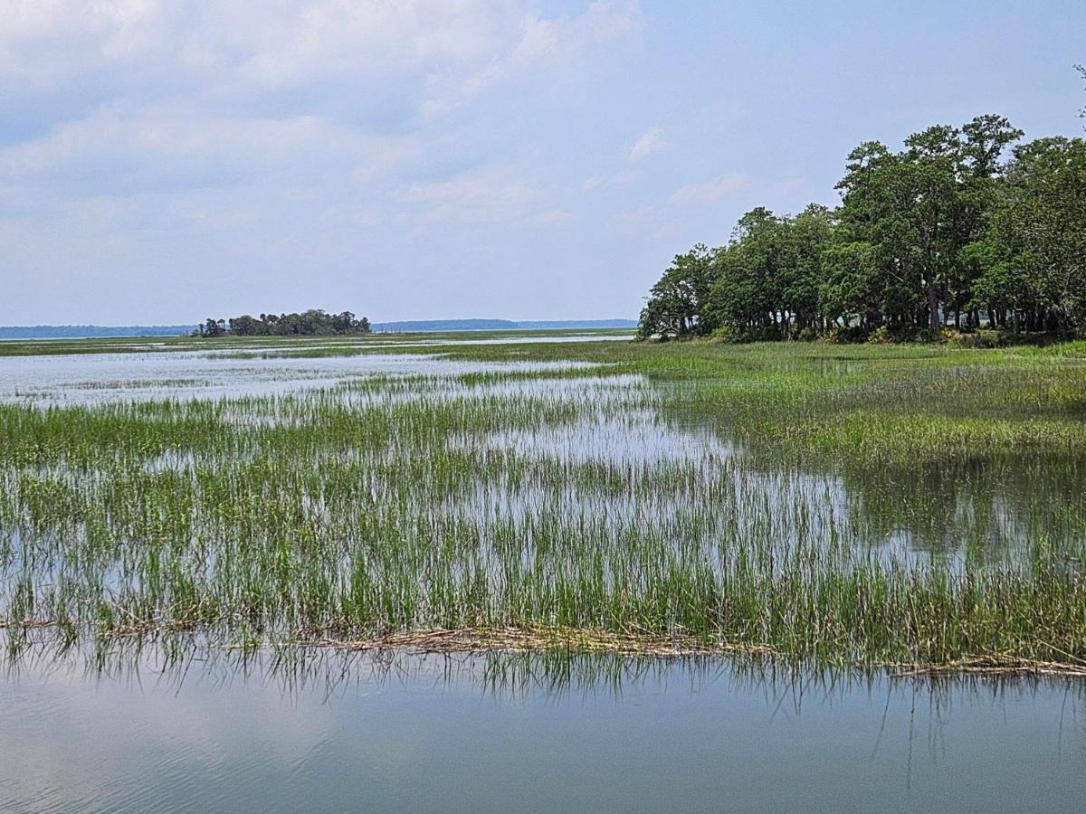 Low Country Cottage In Beautiful Habersham Beaufort Dış mekan fotoğraf