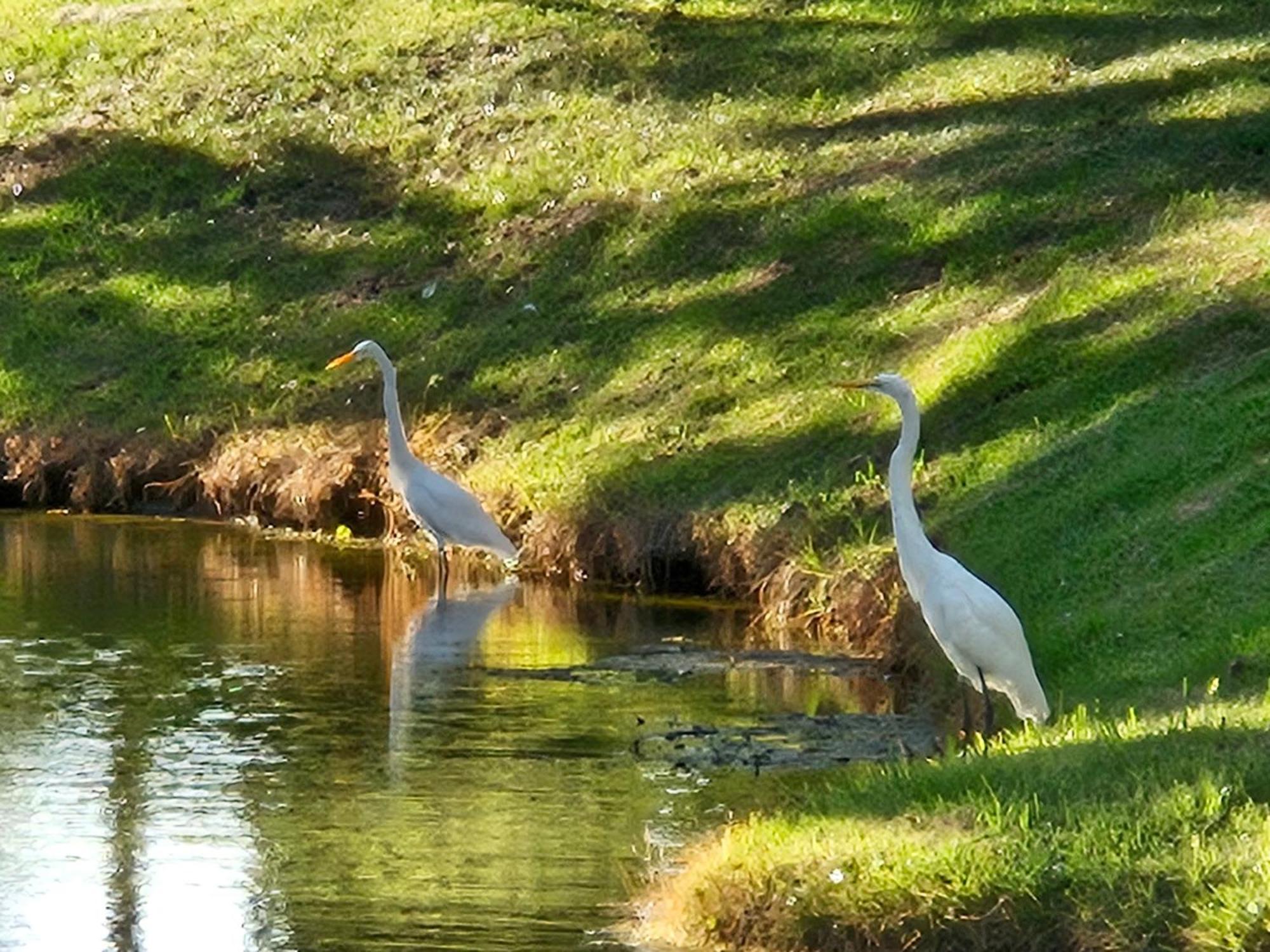 Low Country Cottage In Beautiful Habersham Beaufort Dış mekan fotoğraf