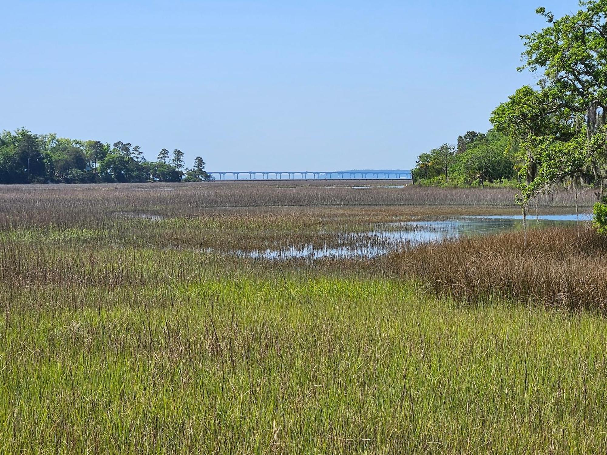 Low Country Cottage In Beautiful Habersham Beaufort Dış mekan fotoğraf