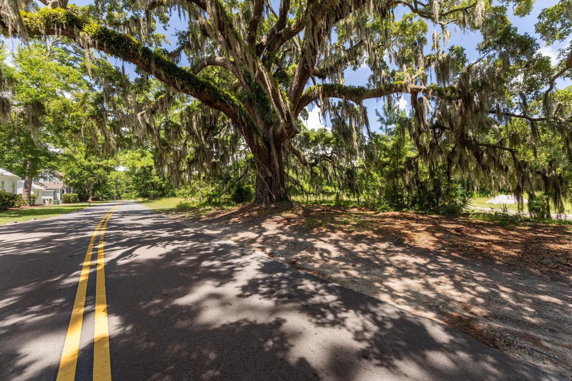 Low Country Cottage In Beautiful Habersham Beaufort Dış mekan fotoğraf